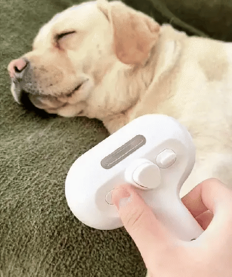 Fur-Ease Steam Brush