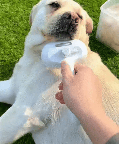 Fur-Ease Steam Brush