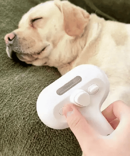 Fur-Ease Steam Brush